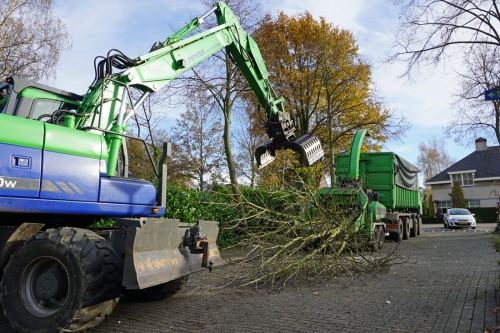 Bomen in de hakselaar